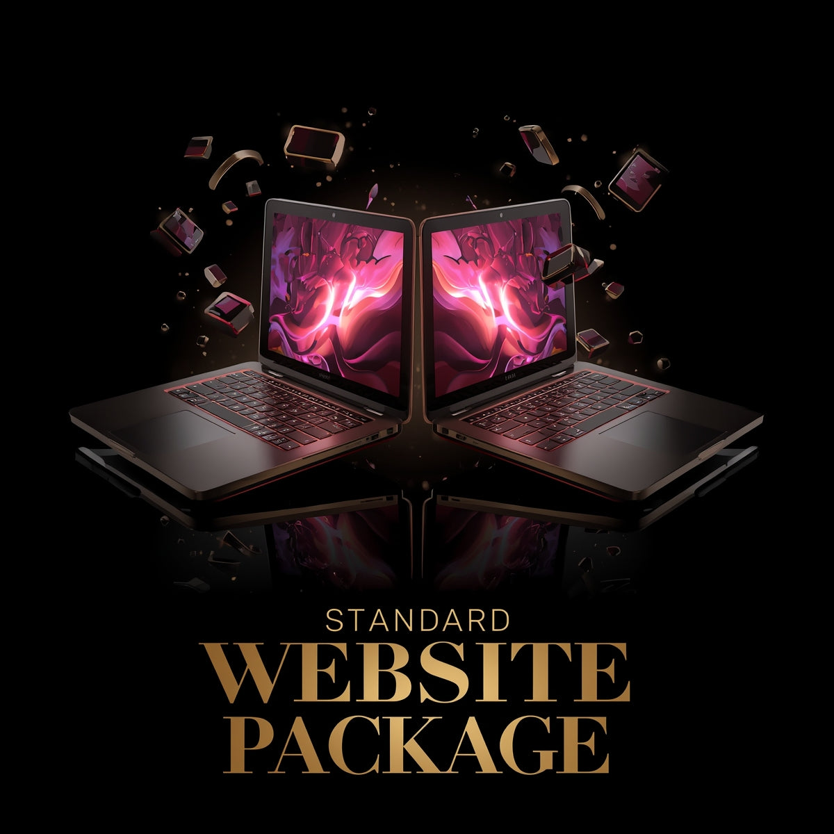 website standard pack